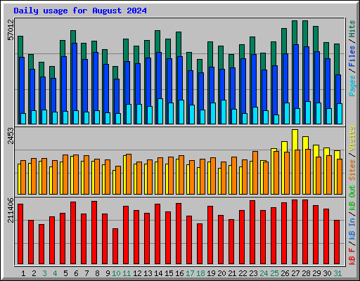 Daily usage for August 2024