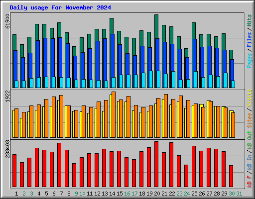 Daily usage for November 2024
