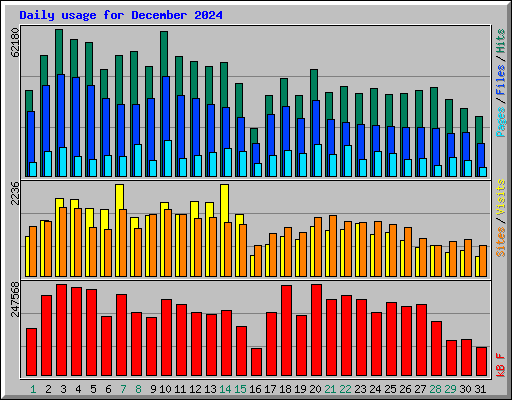 Daily usage for December 2024