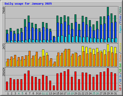 Daily usage for January 2025