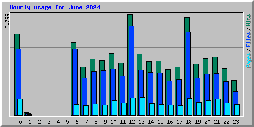 Hourly usage for June 2024