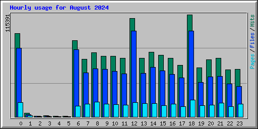 Hourly usage for August 2024