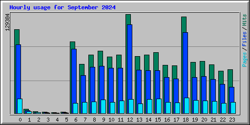 Hourly usage for September 2024