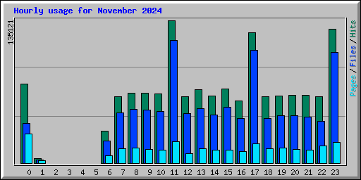 Hourly usage for November 2024