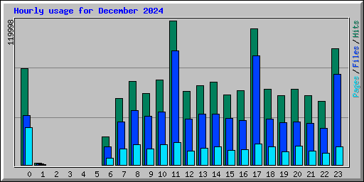 Hourly usage for December 2024