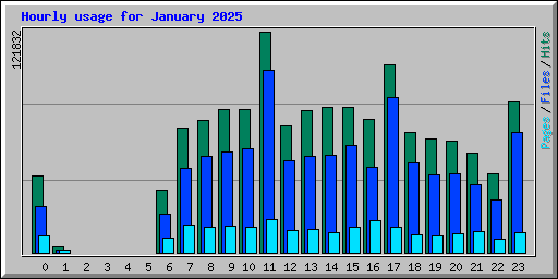 Hourly usage for January 2025