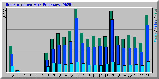 Hourly usage for February 2025