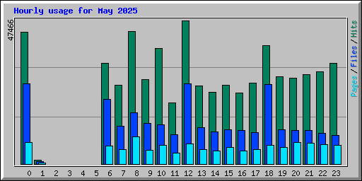 Hourly usage for May 2025