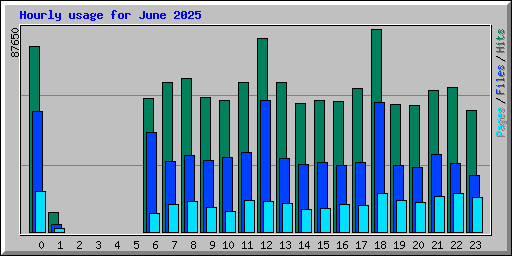 Hourly usage for June 2025