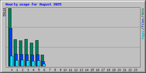 Hourly usage for August 2025