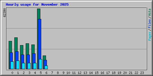 Hourly usage for November 2025