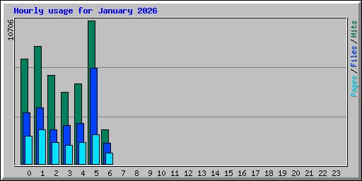 Hourly usage for January 2026