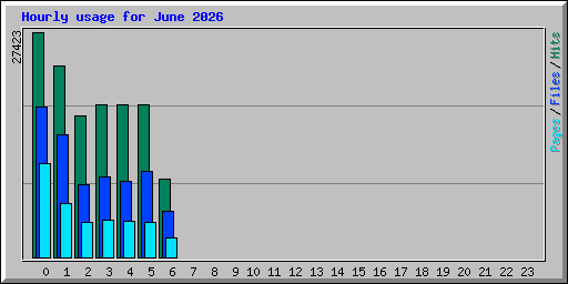 Hourly usage for June 2026